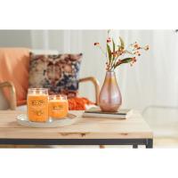 Yankee Candle Farm Fresh Peach Medium Jar Extra Image 3 Preview